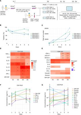 Characterization of CD4+ and CD8+ T cells responses in the mixed lymphocyte reaction by flow cytometry and single cell RNA sequencing